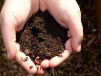 How Does Composting Help the Environment?